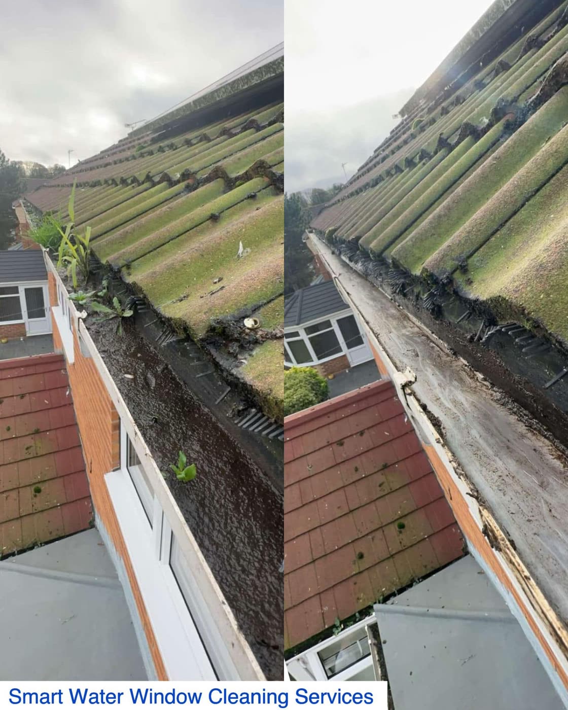 A blocked, overgrown gutter cleared and flowing again